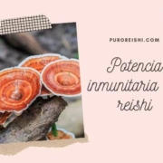 Potencia inmunitaria reishi