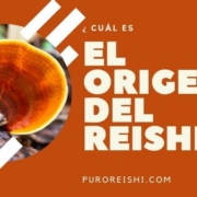 origen del reishi