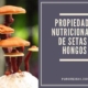 Setas y hongos propiedades nutricionales