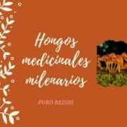 Hongos medicinales