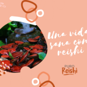 Vida sana con reishi