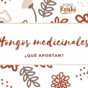 Hongos medicinales que aportan