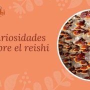 Curiosidades sobre el reishi