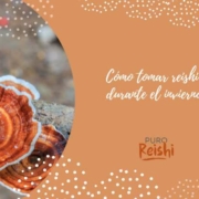 Cómo tomar reishi durante el invierno