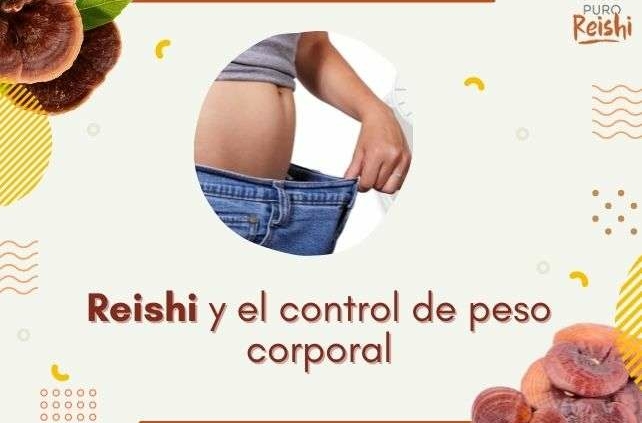 Reishi y el control de peso corporal